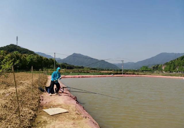 钓黑坑鱼竿要选对，老钓手都这样挑选，又省钱又实用(图5)